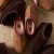 Chestnut